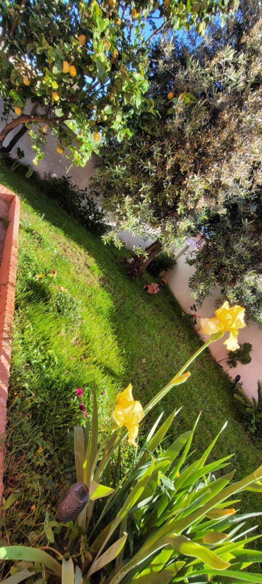 Kokky'S Home Su Forti Exterior photo
