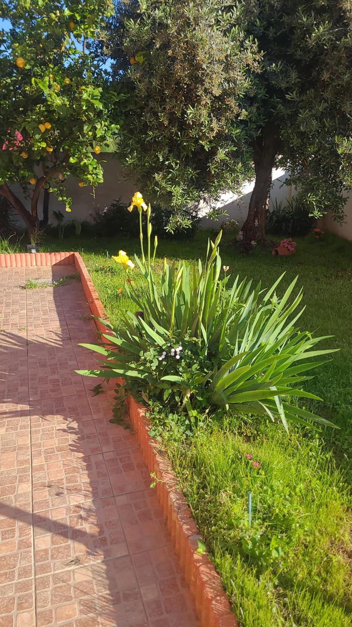 Kokky'S Home Su Forti Exterior photo